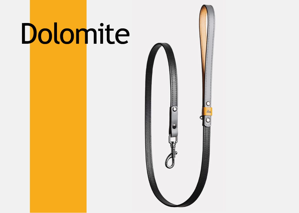 Dolomite Black - smycz skórzana miejska