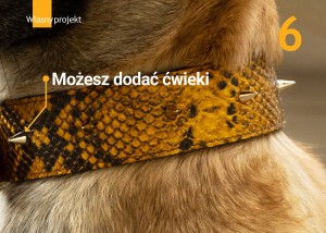 1 wlasny projektup.jpg