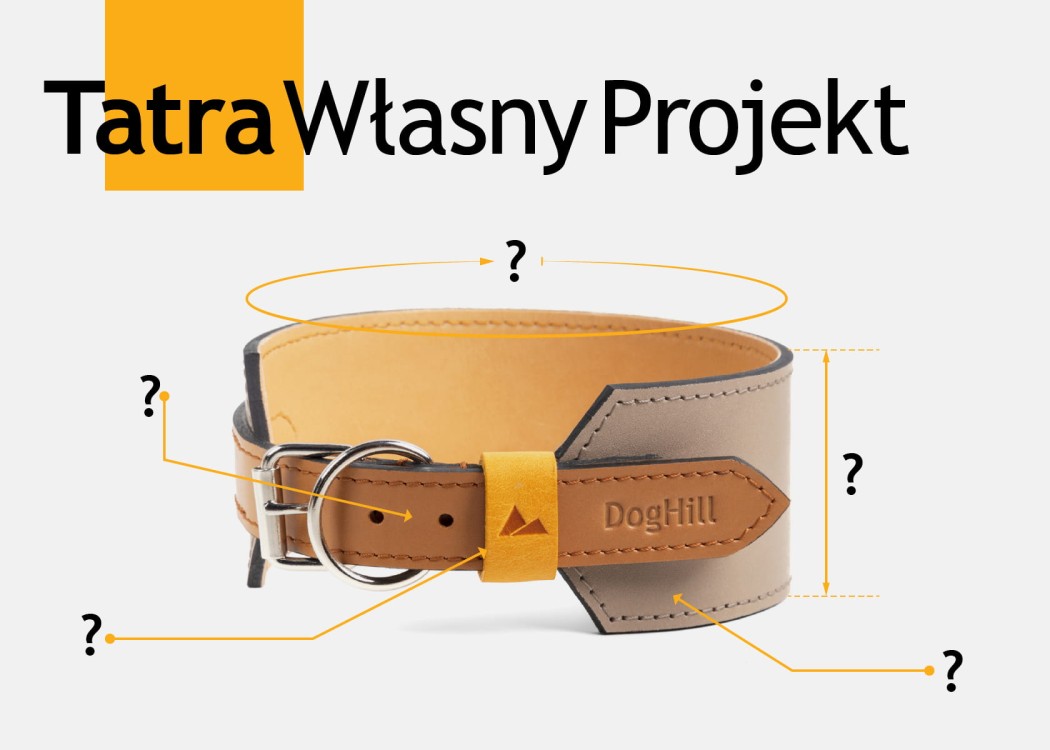 Tatra Własny Projekt, skórzana obroża dla chartów