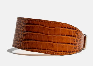 Albula-5-100.jpg