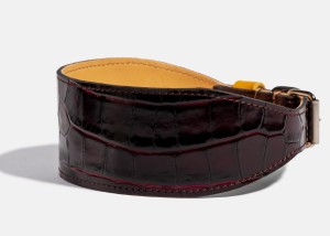 TatraViolet-241.jpg