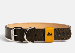 Alps-GN001-(1).jpg