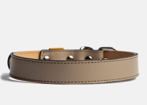 Alps-BG002-(2).jpg