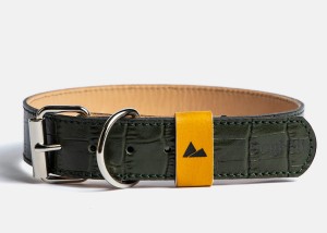Alps-GN008-(1).jpg