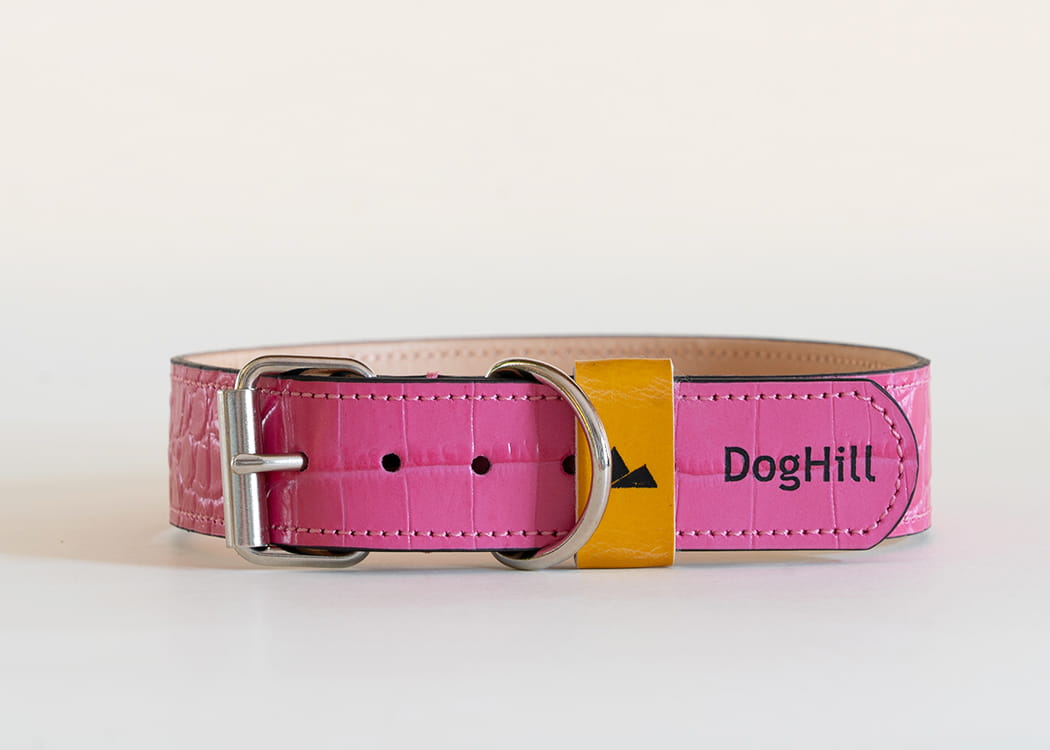 Alps - skórzana obroża klasyczna, w kolorze HotPink croco  