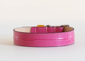 hotpink3.jpg