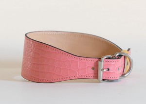 coral3.jpg