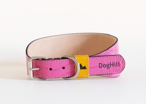 hotpink1.jpg