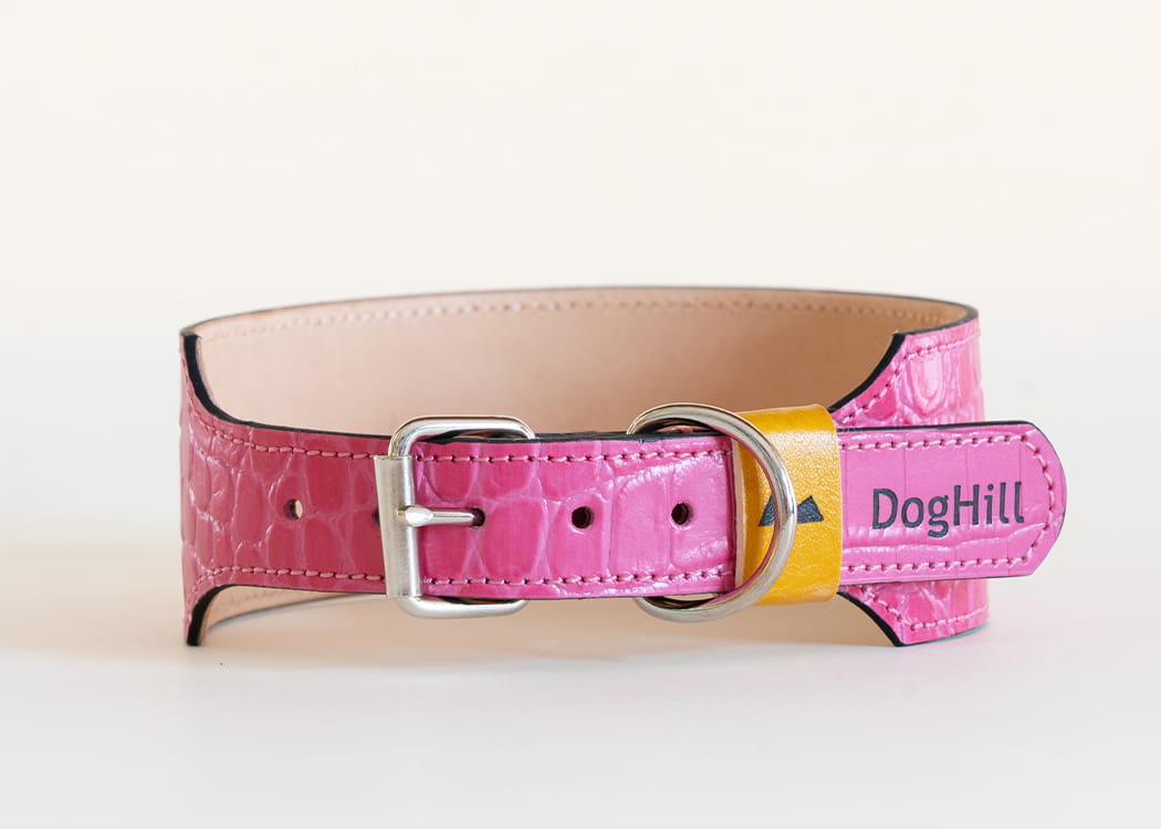 Eiger - skórzana obroża dla chartów, w kolorze HotPink croco