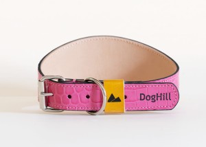 hotpink1.jpg