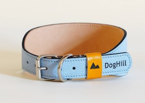 lightblue1.jpg