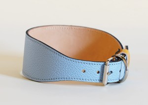 lightblue2.jpg