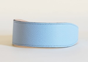 lightblue3.jpg