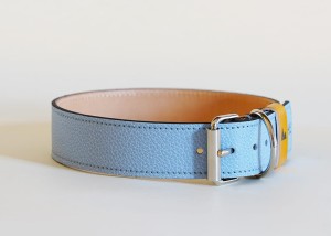 lightblue2.jpg