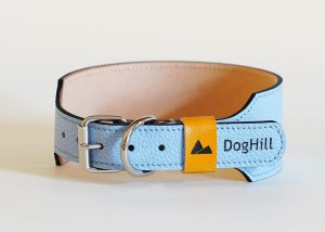 lightblue1.jpg