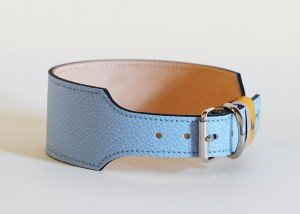 lightblue2.jpg