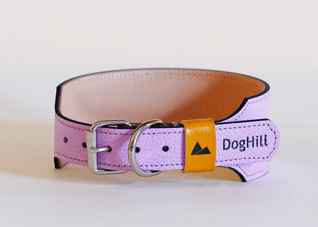 Eiger - skórzana obroża dla chartów, w kolorze Soft Pink