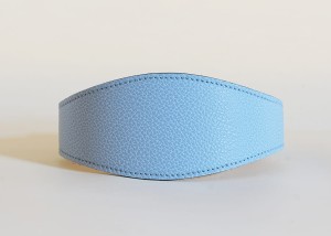 lightblue3.jpg