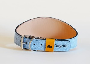 lightblue1.jpg
