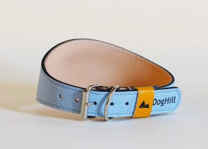 lightblue2.jpg