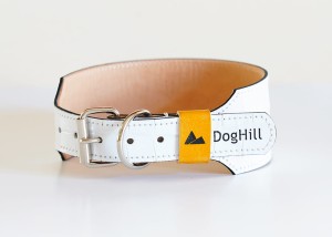 eiger1.jpg