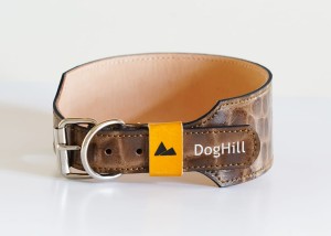 eiger1(1).jpg